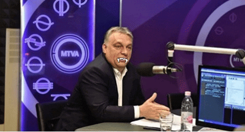 salbandy giphygifmaker giphyattribution virus hungary GIF