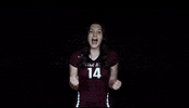 Littlerockvb GIF by Little Rock Athletics