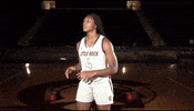 Littlerockwbb GIF by Little Rock Athletics