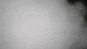 Littlerocksoc GIF by Little Rock Athletics