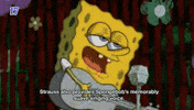 nickelodeon spongebob GIF by Channel Frederator