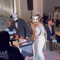 ميمز GIF
