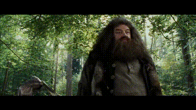Fear GIF