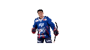 Gilmour Sticker by Adler Mannheim