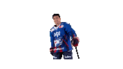 Gilmour Sticker by Adler Mannheim