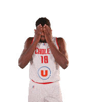 Jeep Elite Sport Sticker by Cholet Basket