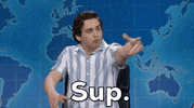 Snl GIF by Saturday Night Live