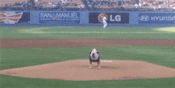dog baseball GIF by SB Nation