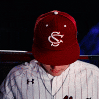 Home Run Celebration GIF by Gamecock Athletics