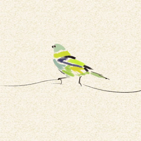bird animation tanager GIF by Atelier Enot