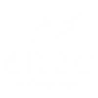 Travel Enzo Sticker by enzohoneymoons
