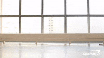 dogs oops GIF by Capital One
