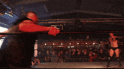 Wpw Uncensored GIF by SHWAperth