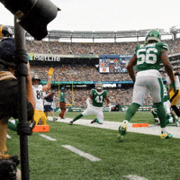Excited Celebration GIF by Pittsburgh Steelers