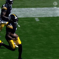 Excited Celebration GIF by Pittsburgh Steelers