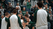 Iwutitans Tgoe GIF by iwusports