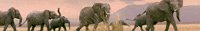 environment GIF by NRDC
