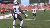 Rise Up Happy Dance GIF by Atlanta Falcons