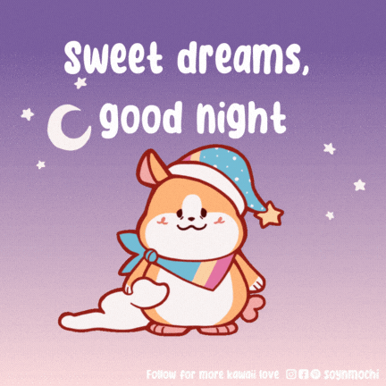 SoynMochi giphyupload goodnight soynmochi soyandmochi GIF