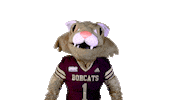 Boko Sticker by Texas State University