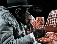 pizza eating GIF