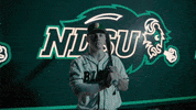 Ndsu Baseball GIF by NDSU Athletics