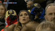 GIF by FOX Sports