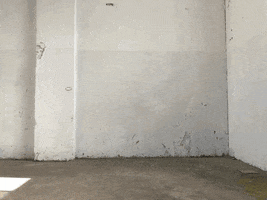 Performance Painting GIF by MISTER THOMS