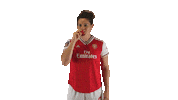 Arsenal Women Lol Sticker by Barclays FAWSL