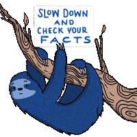 Verify Social Media Sticker by INTO ACTION