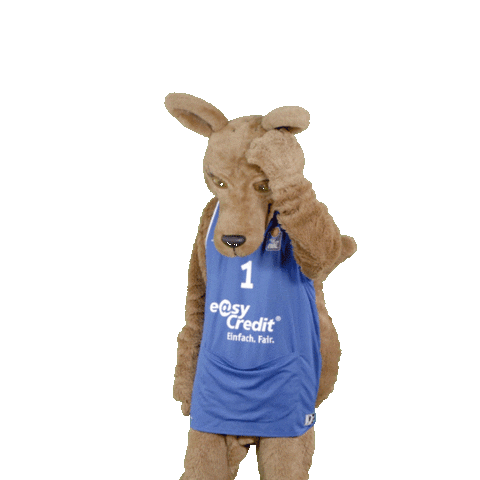 social-media-easycredit giphyupload basketball easycredit ellihoop Sticker