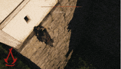 Leap Of Faith Dive GIF by Assassin's Creed