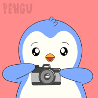 Travel Smile GIF by Pudgy Penguins
