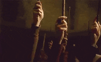 Harry Potter Wands Up GIF