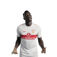 Sorry Not Sorry Football Sticker by VfB Stuttgart