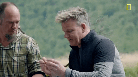 natgeochannel giphydvr new zealand gordon ramsay uncharted GIF