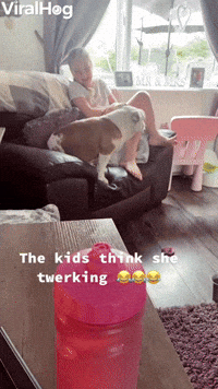  Kids Laugh at Doggo's Twerk 