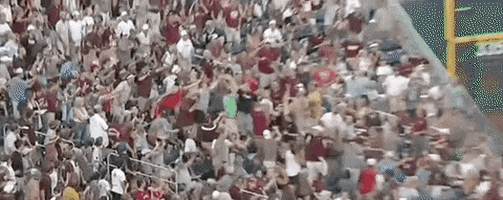 College World Series Baseball GIF by NCAA Championships