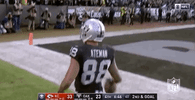 2018 Nfl Football GIF by NFL