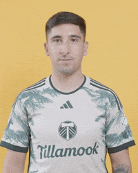 Bravo Mls GIF by Timbers