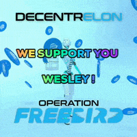 Wesley Go GIF by decentrelon