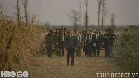 true detective hbo GIF