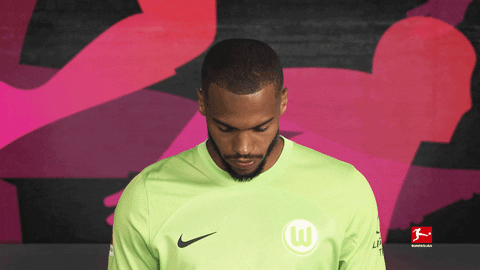 Vfl Wolfsburg Football GIF by Bundesliga