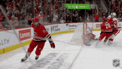 Happy Carolina Hurricanes GIF by NHL