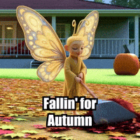 Fall Autumn GIF by BuddhaFlyJourney