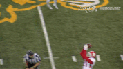 north dakota state football GIF by NDSU Athletics
