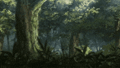 Coco GIF