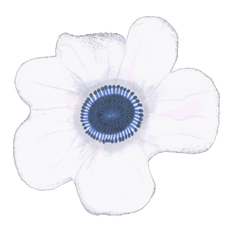 Flower Spring Sticker