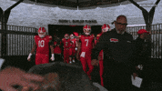 Terps Football Turtle GIF by Maryland Terrapins
