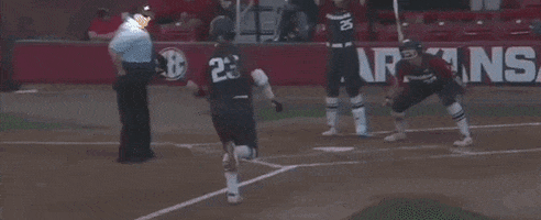Georgia Arizona GIF by NCAA Championships